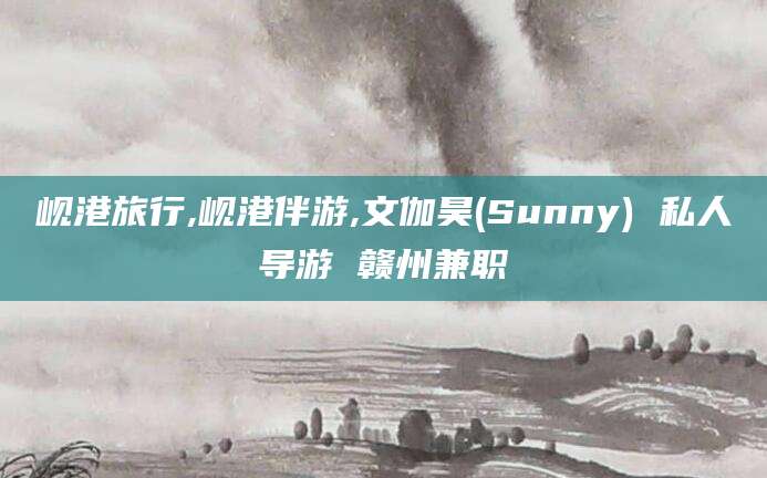 镇江岘港旅行,岘港伴游,文伽昊(Sunny) 私人导游 赣州兼职