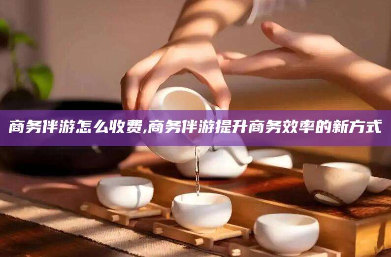 镇江商务伴游怎么收费,商务伴游提升商务效率的新方式