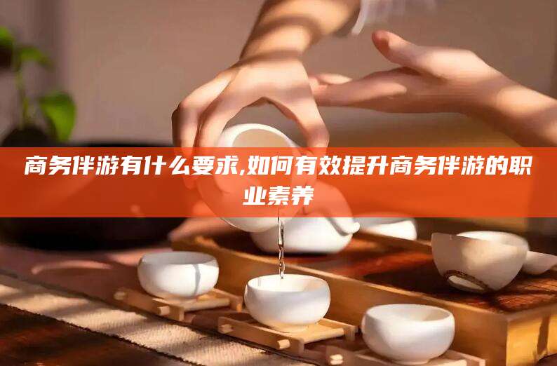 镇江商务伴游有什么要求,如何有效提升商务伴游的职业素养
