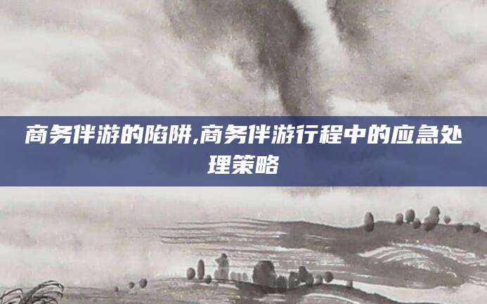 镇江商务伴游的陷阱,商务伴游行程中的应急处理策略